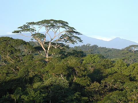 costaricamain.jpg