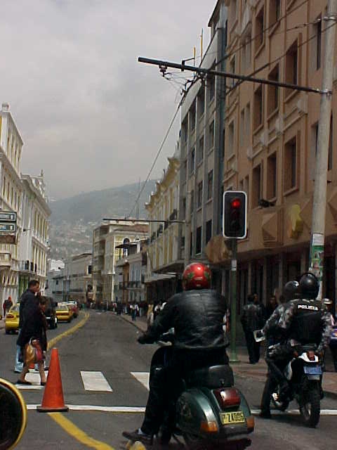 dtquito10.jpg