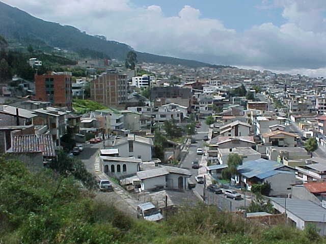 ntquito4.jpg